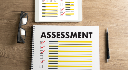 The Significance of Assessments for Companies and Organizational Culture